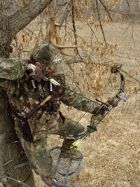 tree_stand