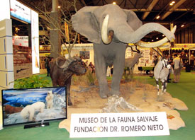 expocinegetica_2013_11