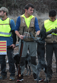 paco_mateos_01