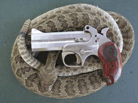 snake_slayer