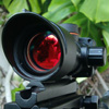 shilba_speed_fire_ho
