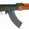 saiga22_home