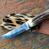 cuchillo_jlozano_leopard_ho