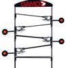 gamo_competition_target_ho