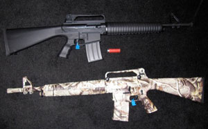 ar15_calibre12