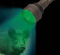 ledwave_verde