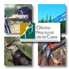 onc_ho