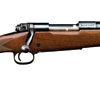 rifle_winchester70_ho