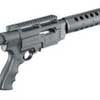 ruger_sr_22_home