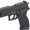 sig_p226_e2_home