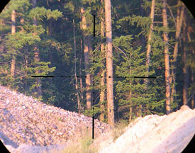 bushell_excursion_reticula_