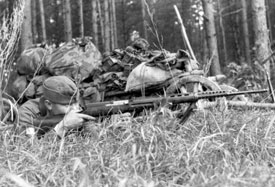 fusil_historico