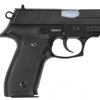 zastava_ez9_home