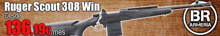 ruger scout.jpg