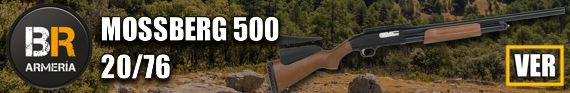 570 x 93 MOSSBERG 500 Slugster - 20-76