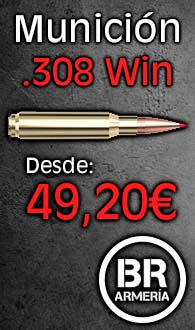 munición 308 win.jpg