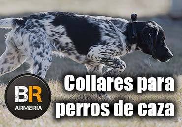 370 x 258 collares perros de caza